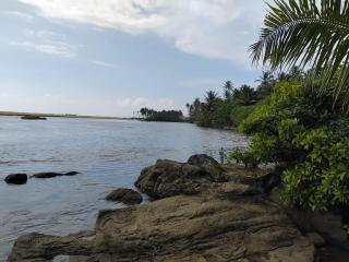 Gin River View Point - 5