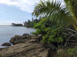 Gin River View Point - 3