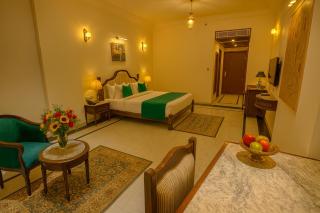 Nature Valley Resort Udaipur - 9