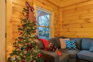282 Cozy Cub cabin - 7