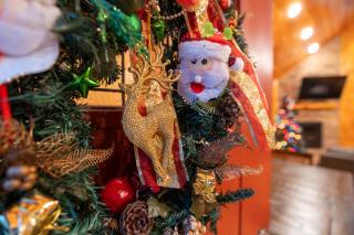 210 Cubs In The Treetops Home - Gatlinburg - 2