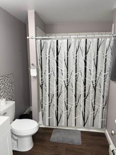 Basement room with its own private bathroom - 1