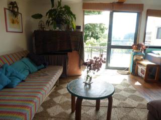 Dragon's den main house - 2