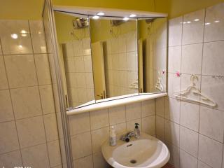 Winterberg Appartement 6 Pers am Skilift größten Skigebiets, ruhige Garten im Wald, gemütlichen Après-Ski-Cafés Restaurants zu Fuß erreichbar, Parkplatz, Schwimmbad, Sauna, Relaxraum, Buchbaren Massages Wellness Der Brabander, Darts Tischtennis-Fußball - 5