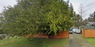 The basics in Edgewood - 4