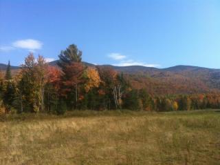 Meadow House Backcountry Residency - 4