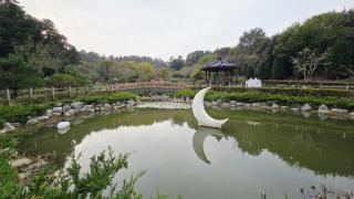 Jinan redginseng Ville - 6