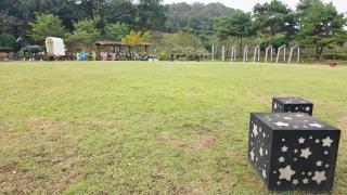 Jinan redginseng Ville - 7