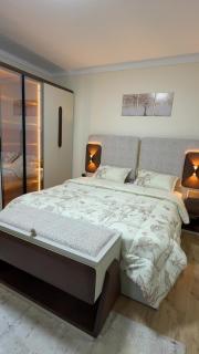 A luxurious apartment in Dokki - 1