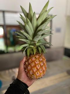 Adventureswithst Homestay - 1