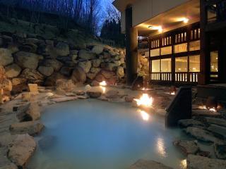 Zao Kokusai Hotel - Zaō Onsen - 9