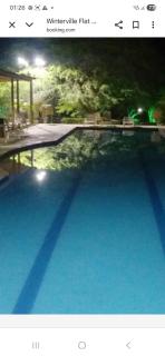 Winterville Gravatá 3 quatos - 7