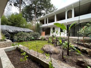 The Hidden Garden Apartments - 6