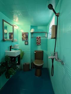 小琉球潛水-Padi 課程證照-小琉球老宅-室內有貓-禁止寵物-共用衛浴-不可挑房間 - 6