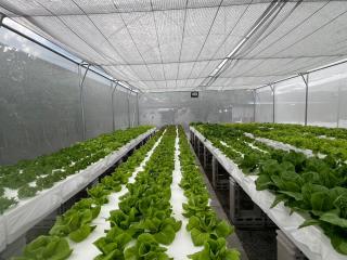 วันรีสอร์ท - 4