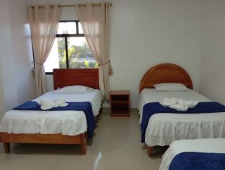 Hostal Insular - 1