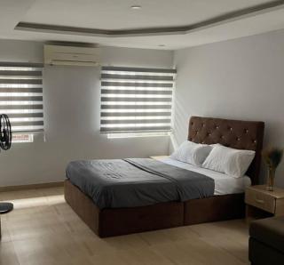 Self-Serviced Apartments, Isolo - 7