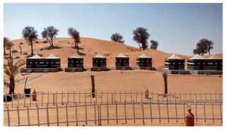 Bedouin Oasis Desert Camp- Ras Al Khaimah - Ras al Khaimah - 8
