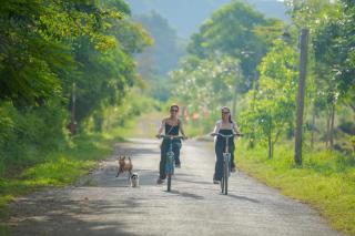 Cuc Phuong National Park Retreat Ninh Binh - Hiking & Adventure Tours - Ninh Bình - 4