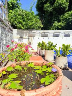 Vientiane Ruby Villa Hotel - Vientiane - 8