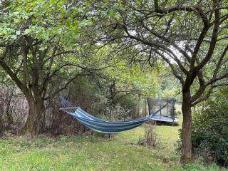 Vakantiehuis Reuzengebergte - 5