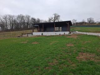 Cuibul de pe Deal Coșdeni Bihor - 6