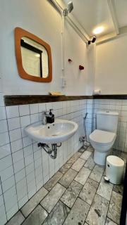 Lim Concept - Lim Pigeon - 4