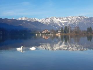 Chalet Hallstatt - 2