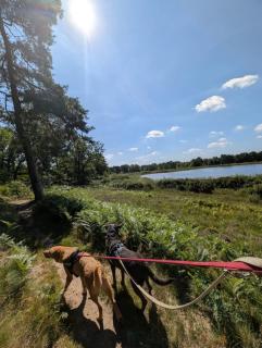Gemütliches Ferienhaus im Grünen - 3