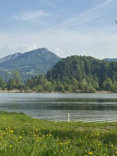 Chalet Hallstatt - 9