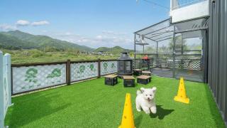 Gapyeong Dangdangi Pet Poolvilla Blue - 7
