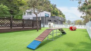 Gapyeong Dangdangi Pet Poolvilla Blue - 5