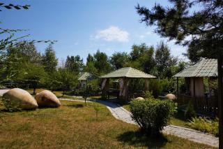 Чичхани Chichxani Kambuz - 3