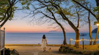 Namhae Dangdangi Dog Pension Blue - 4