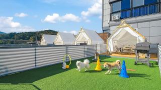 Namhae Dangdangi Dog Pension Blue - 2