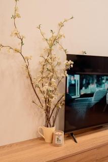 Căn hộ ngập tràn ánh nắng trung tâm thành phố - 5