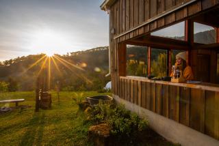 ไร่ชาดอยอินทนนท์ - 4