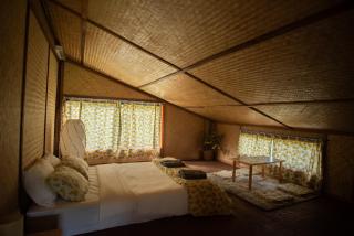 ไร่ชาดอยอินทนนท์ - 6