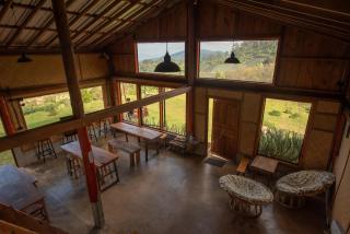 ไร่ชาดอยอินทนนท์ - 3