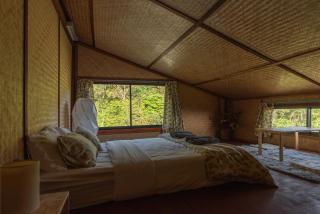 ไร่ชาดอยอินทนนท์ - 1