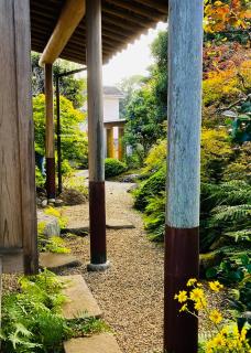 旅庭 福の小径 Fukunokomichi -Path of Happiness- - 5