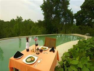 Mangrove Escapes Resort - 5