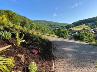 Panorama Lodge I beheizter Whirlpool & Feuerschale - 9