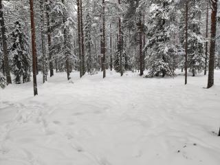 Reindeer Route Apartment - 4