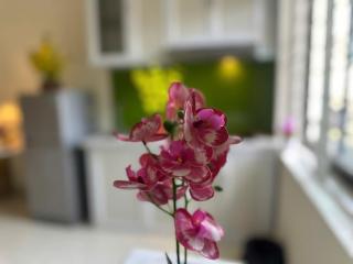 Phương Đông 502DT - 2