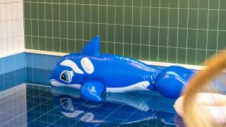 Gangneung Agigorae Poolvilla - 7