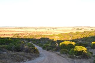 Private Beach Cottage - 1