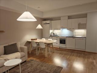 Lapland style top floor 1BR in Rovaniemi - 1