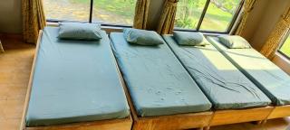 Lagoon By Kingstar - 4