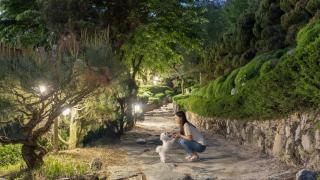 Pocheon luxjay pet Pension - 2